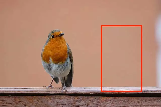 Region-edit (object editing) - Before